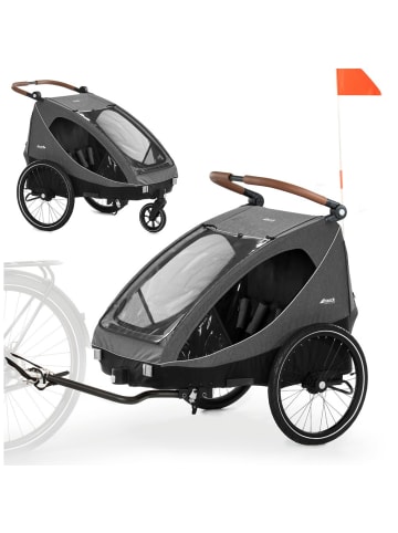 Hauck 2in1 Fahrradanhänger Dryk Duo für 2 Kinder in grau,schwarz