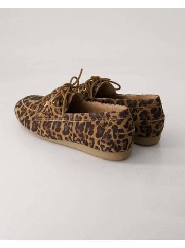 Paul Green Klassische Schnürschuhe in Braun