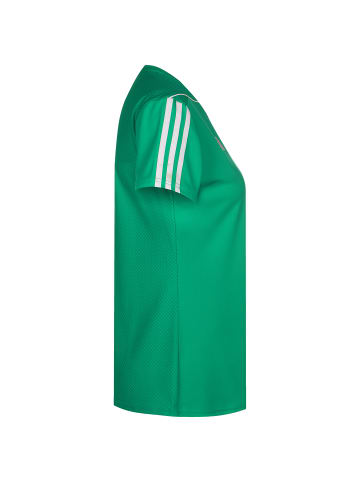 adidas Performance Fußballtrikot Tiro 23 in grün / weiß