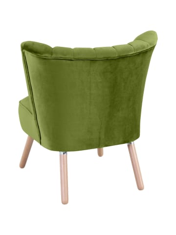 others SESSEL Kadisha Bezug Samtvelours Buche natur / oliv