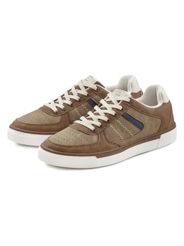 AUTHENTIC LE JOGGER Sneaker in camelfarben