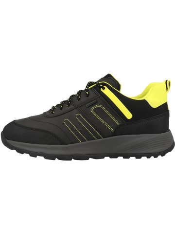 Geox Sneaker low U Terrestre B Wpf A in schwarz