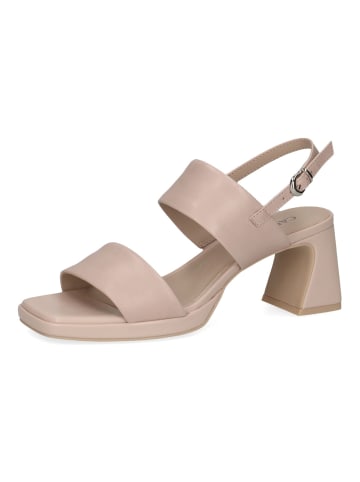 Caprice Sandalen in Rose