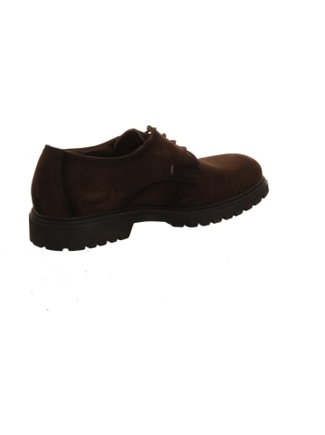 LLOYD Schnürschuhe in braun