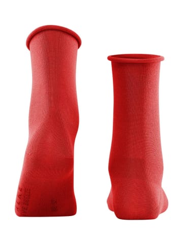 Falke Socken 1er Pack in Rot