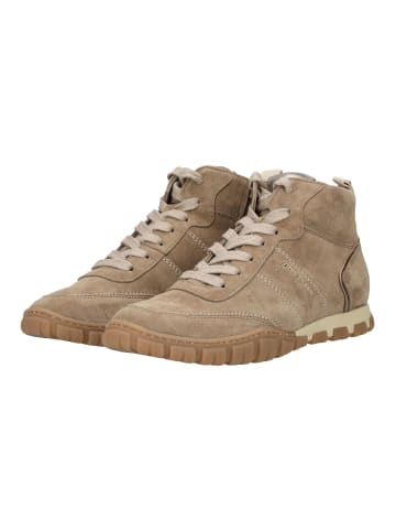 Paul Green Sneaker in Antelope