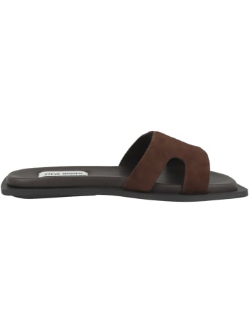 Steve Madden Sandale Sofia in dunkelbraun