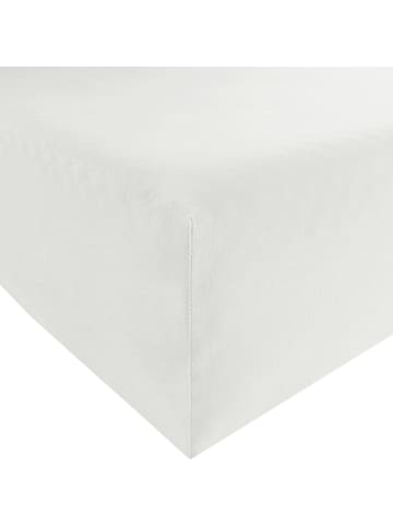 REDBEST Single-Jersey Spannbettlaken San Francisco in weiß