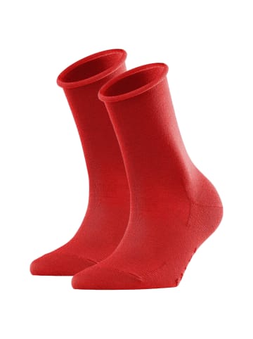 Falke Socken 2er Pack in Rot