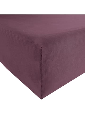 Erwin Müller Interlock-Jersey Spannbettlaken Memmingen in aubergine