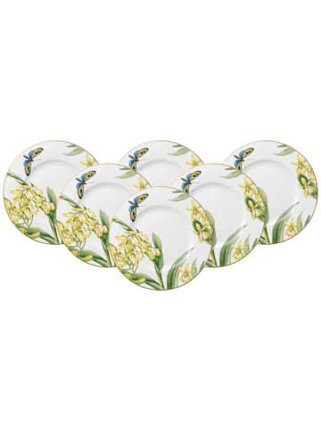 Villeroy & Boch 6er Set Frühstücksteller Amazonia Anmut ø 22,5 cm in bunt