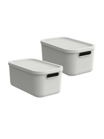 Rotho Albula Light 2er-Set Kiste 12l mit Deckel in Mistelweiß