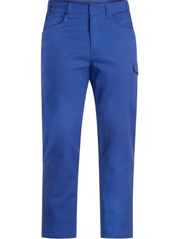 Uvex Arbeitshose "Suxxeed Essentials" in Blau