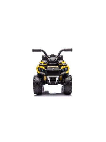 Wisam® Quad-Batterie GTS1155