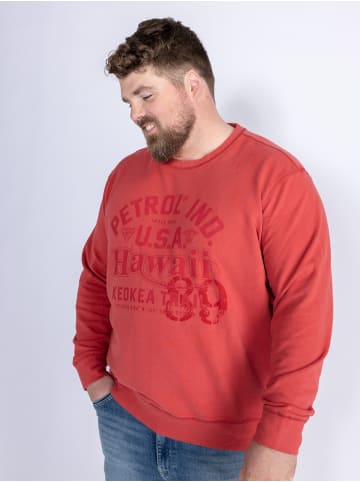 Petrol Industries Sweater mit Aufdruck in Plus Size Journey in Rot