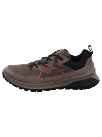 Ecco Sneaker in grau