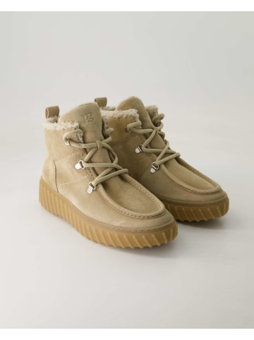 Paul Green Schnürstiefeletten in Beige