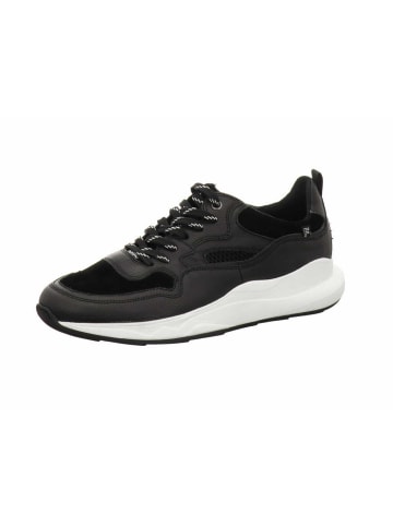 Floris van Bommel Sneaker Low in schwarz