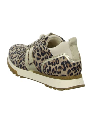 Paul Green Sportliche Schnürschuhe in Animal