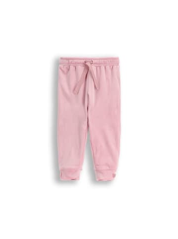 Coccodrillo Velours-Jogginghose in gedämpftes Rosa