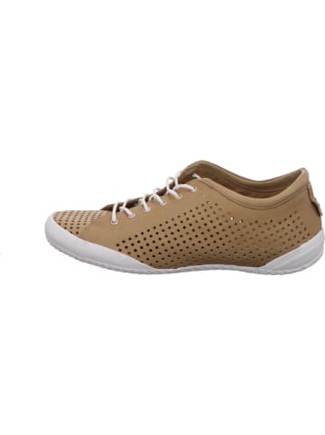Andrea Conti Sneaker in taupe