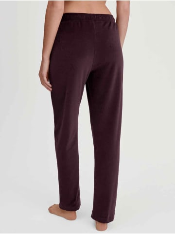 Calida Damen Sporthose in Black cher