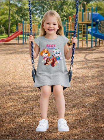 Paw Patrol Paw Patrol Kleid Skye, Everest & Zuma Kleidchen mit kurzen Ärmeln in grau