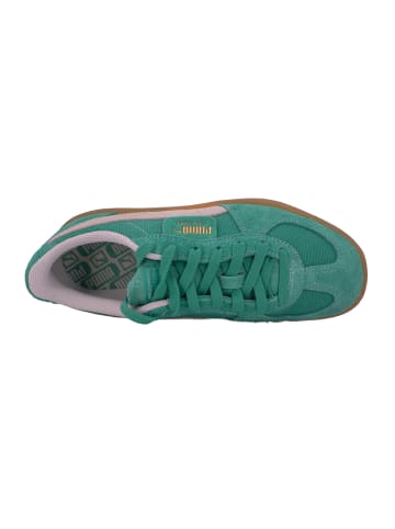 Puma Sneaker Palermo Vintage Leder in Grün