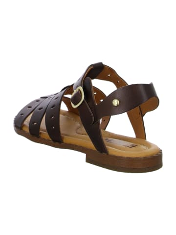 Pikolinos Komfort Sandalen in Braun