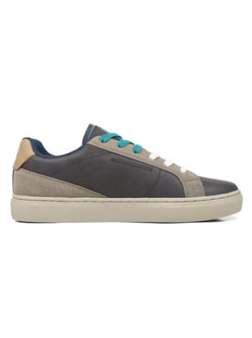 Fred Perry Sneakers Columbus in taupe