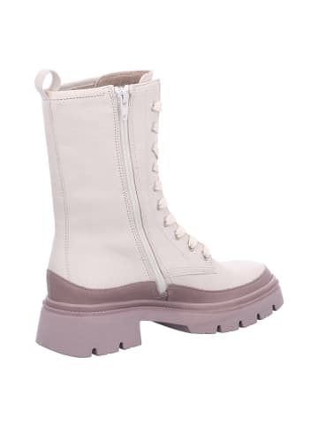 Gabor Stiefeletten/Boot in beige