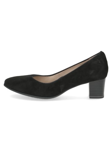 Caprice High Heels in black suede