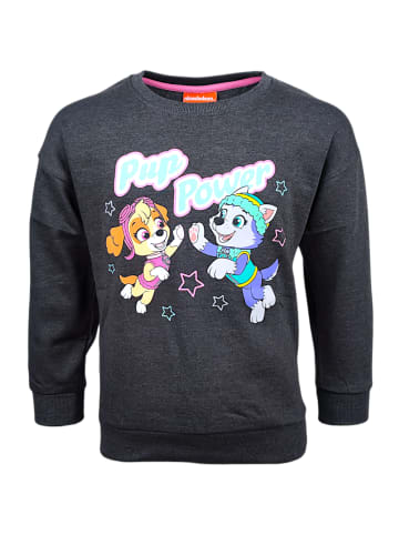 Paw Patrol Sweatshirt Paw Patrol Skye in Grau