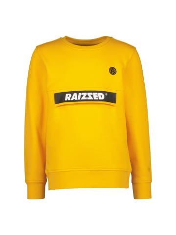 RAIZZED® Raizzed® Pullover Nubian in Varsity yellow