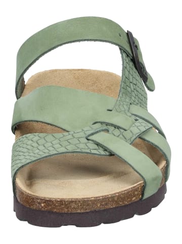 Dr. BRINKMANN Pantoletten Oliva in Grün
