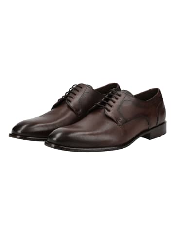 LLOYD Businessschuhe in Dunkelbraun