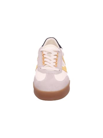 Hamm Herrenschnürschuhe halb modisch ( adidas etc )  in  Beige