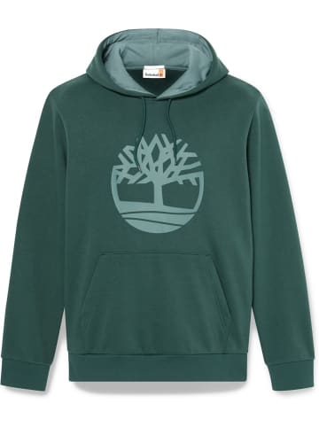 Timberland Pullover "Northwood" in Grün