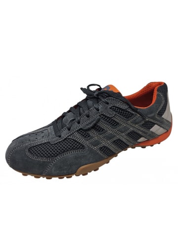 Geox sportlicher Schnürer Snake in Grau
