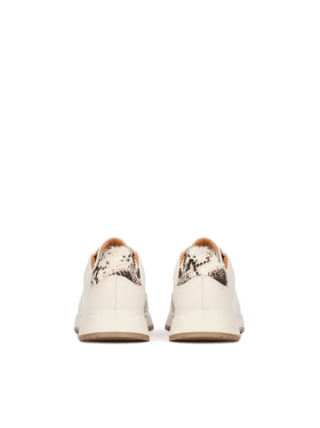 Kazar Sneaker Low in Off-white