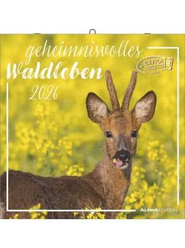 TeNeues Calendars & Stationery Kalender - Alpha Edition - Geheimnisvolles Waldleben Kalender 2026 - Wandkalend