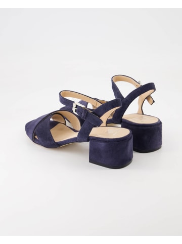Terry Business Schuhe in Blau