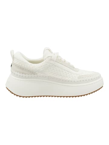 Steve Madden Sneaker in Weiß