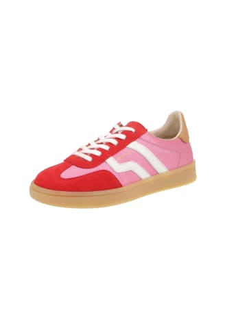 Gant Sneaker low Cuzima in Pink