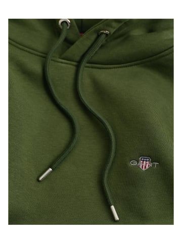 Gant Sweatshirt in Grün