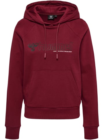 Hummel Hummel Hoodie Hmlnoni Damen in CABERNET