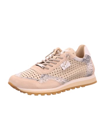 Cetti Sportliche Schnürschuhe in Beige