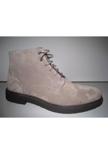 Geox Schnürstiefel Ankle Boots in Beige