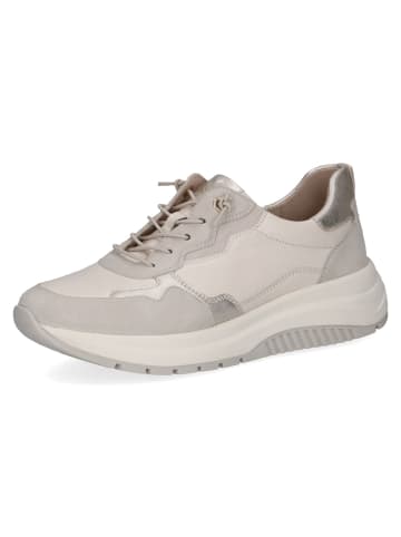 Caprice Schnürschuhe in offwhite comb
