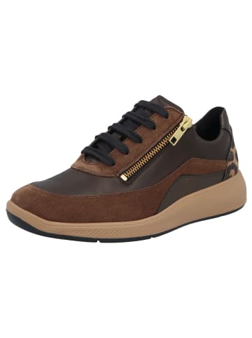 Solidus Damen- Schnürschuhe Halea - Weite H in Braun